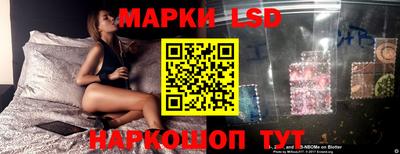 дмт Новокубанск