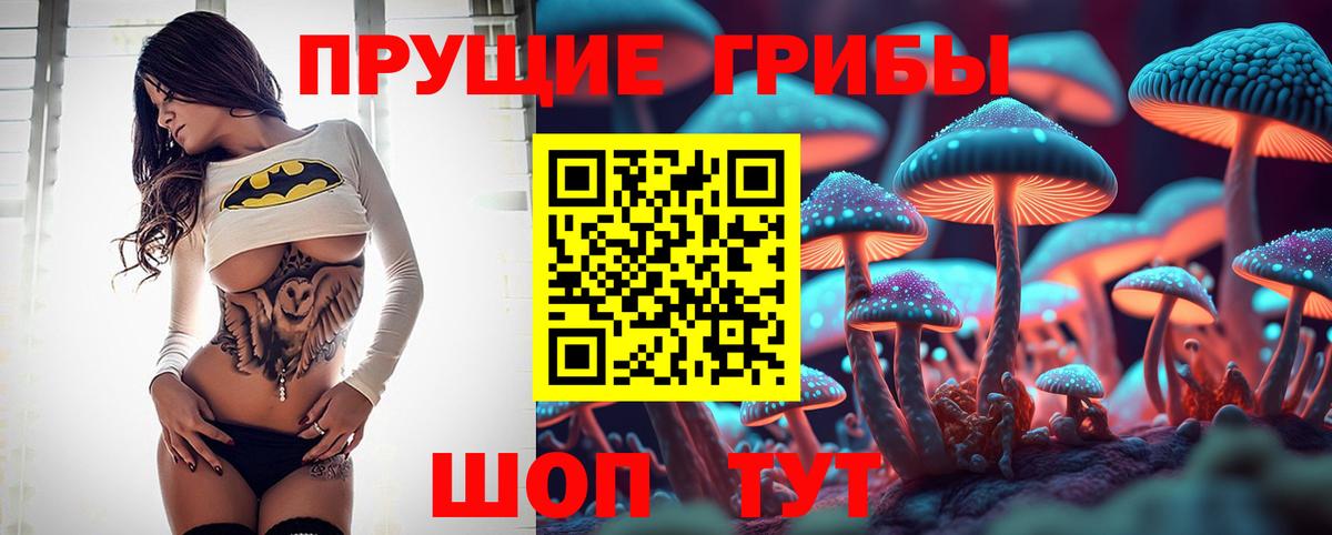 Галлюциногенные грибы прущие грибы Соль-Илецк