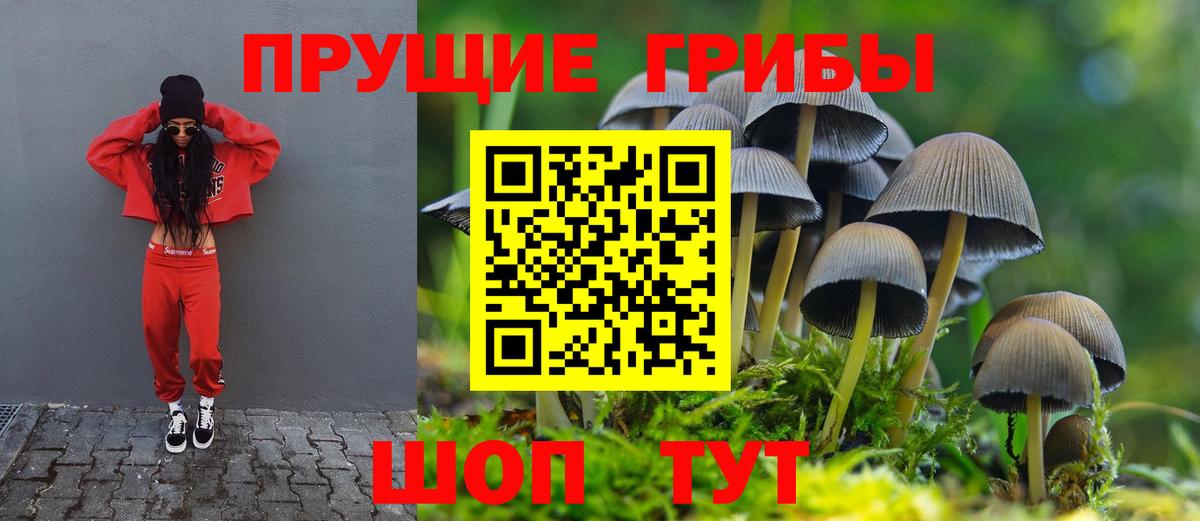 Соль-Илецк  Галлюциногенные грибы Cubensis  дарнет шоп  Вход с VPN 